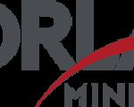Metallurgical Co-op/Intern